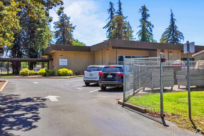 Live Oak Elementary is where students grow and learn in Lodi.