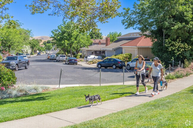 A large green belt passes through the Midtown Concord neighborhood, ideal for dog walking.