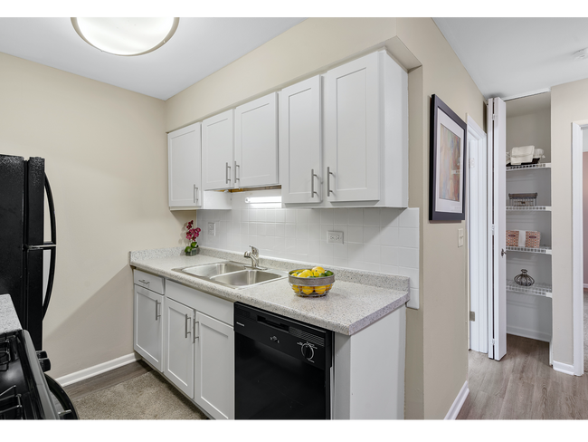 Kitchen Cabinets & Storage Closet | Apartments For Rent in Mount Prospect Illinois | The Element