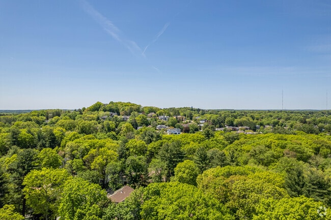 Homes in the Oak Hill neighborhood are shaded by gorgeous, sprawling greenery.