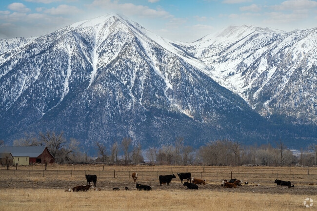 For years, cattle ranches dominated most of the land in Gardnerville.