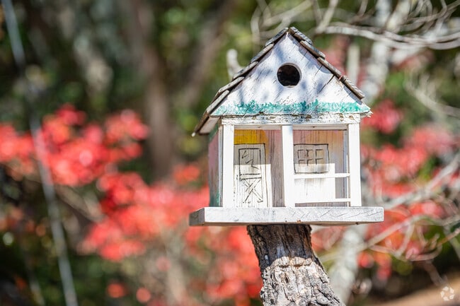 Several custom made bird houses can be found decorating the trees of Dacula.