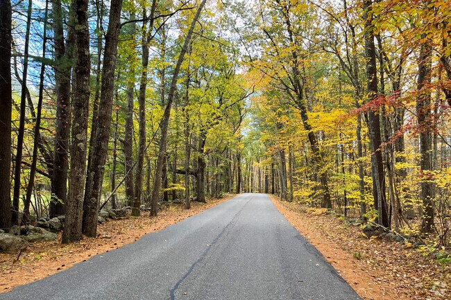 Quiet roads are common in the Wilton neighborhood.