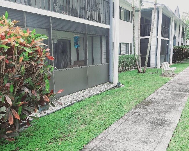 Patio and walkway