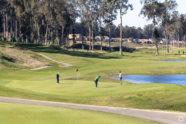 Many locals in Woodlands are golfers.