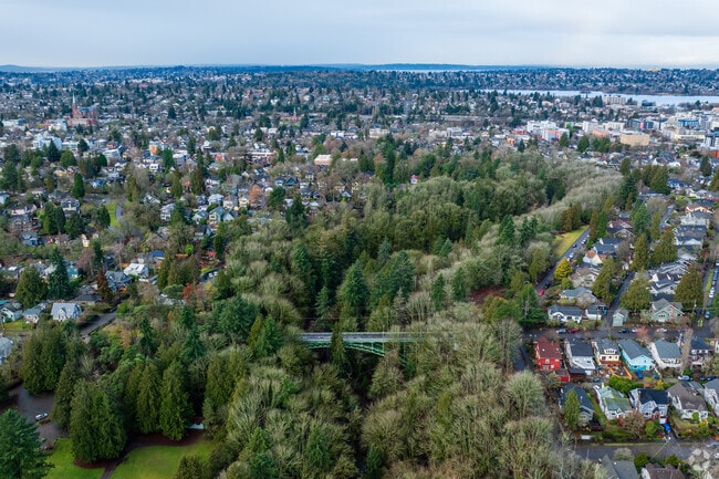 The ravine in Ravenna Park is a unique spot of nature right in the middle of the neighborhood.