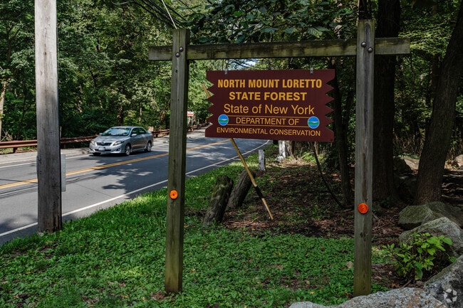 North Mount Loretto State Forest is  nature preserve in Pleasant Plains.
