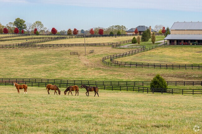 Travelers to the Paynes Depot area can see the most beautiful horse farms in the country.