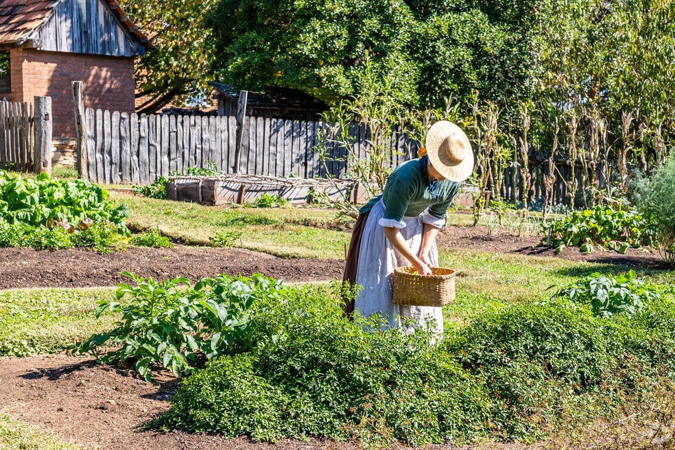 Stonewall/Salemtowne