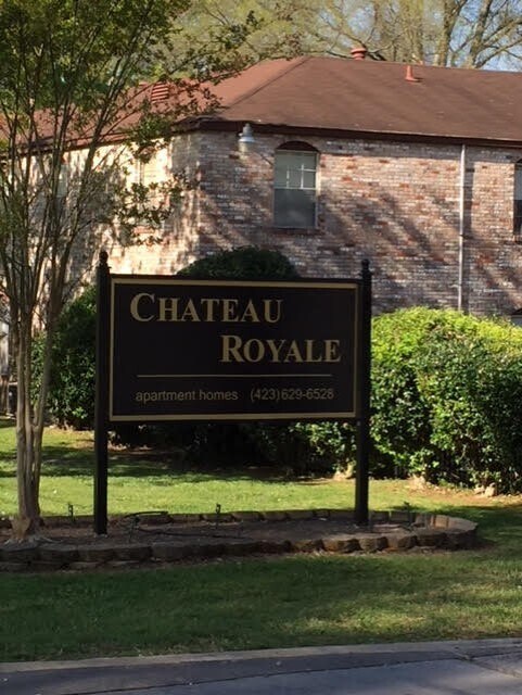 Chateau Royale West, Chattanooga, TN 37411 - photo 3