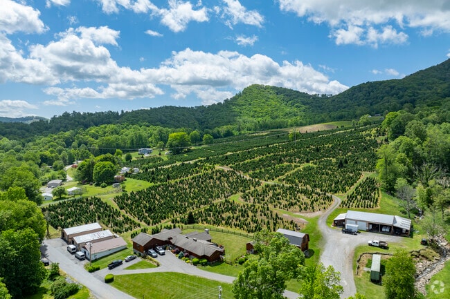 Elk Park’s Evergreen Tree Nursery offers a beautiful selection of trees, perfect for landscaping or adding mountain charm to the homes of residents.