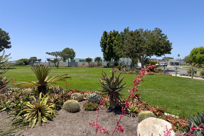 With beautiful landscaping and lush green grass, Galaxy View Park has it all.