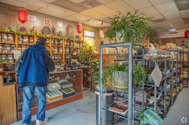 Stop by Serenity Moon Tea to buy tea for home or to have a soothing drink near The Lakes.