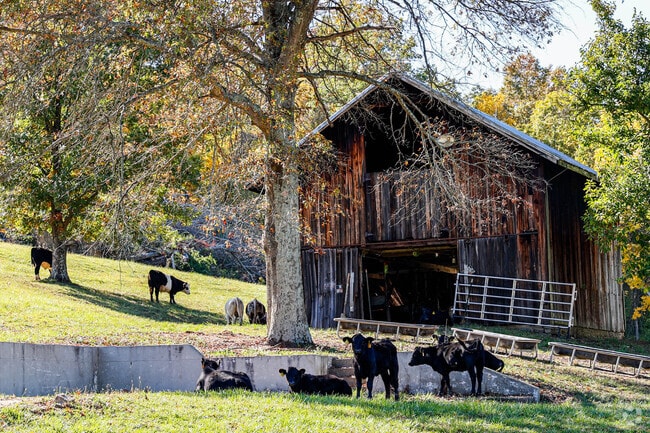 Small family run farms are the backbone of Melbourne.