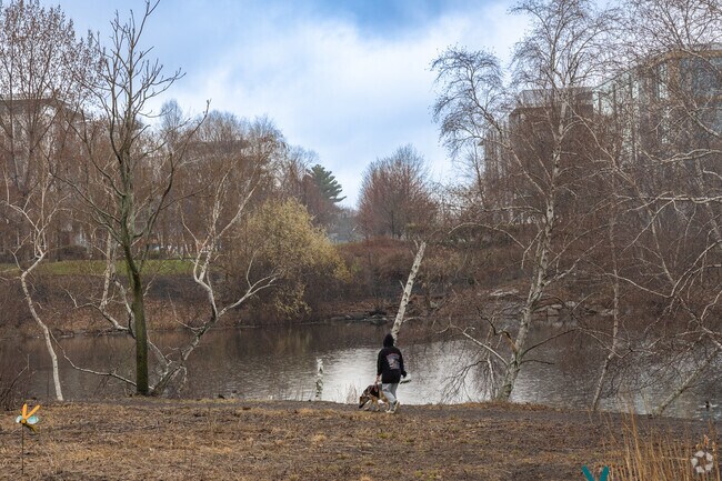 Rivergreen Park in West Everett is a popular spot for residents to walk their dogs along the river.