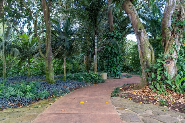 The beautiful botanical garden walkway in Wahiawa.