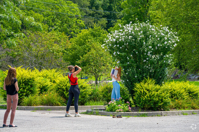 Jackson Morrow Park is a popular destination for Wildcat area senior portraits