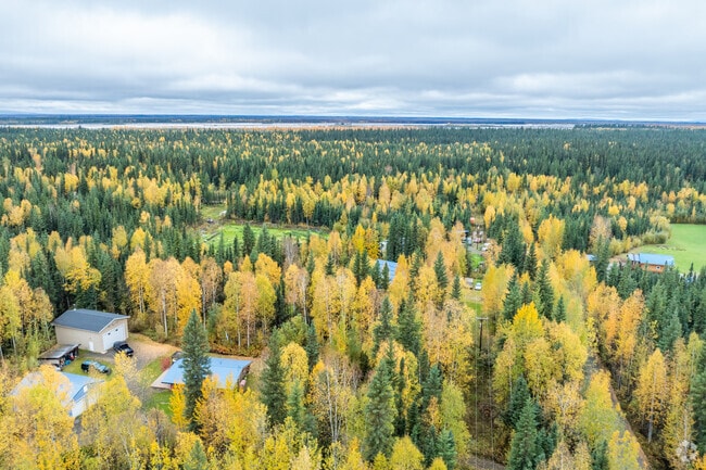 Most homes in Salcha are on secluded plots of land that are hidden in the forests.