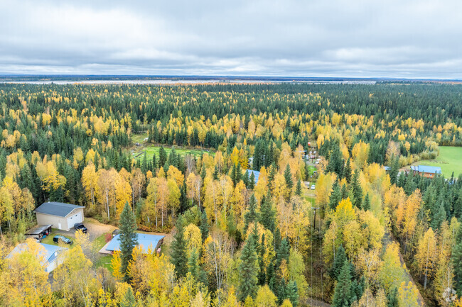 Most homes in Salcha are on secluded plots of land that are hidden in the forests.