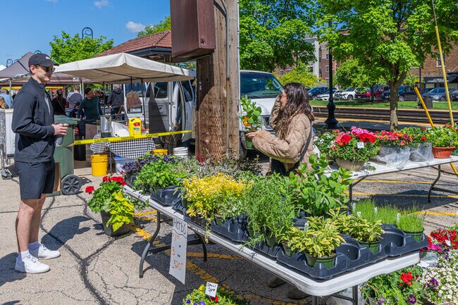 There are options for herbs at the Downtown Downers Grove Farmers Market in Downers Grove.