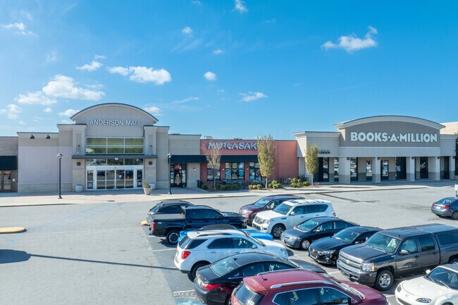 The Anderson mall has several larger shops and a small food court and hosts local events.