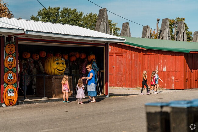 The Great Pumpkin Farm in Clarence celebrates pumpkin season with a variety fun activities.