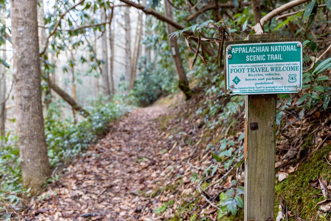 The Appalachian National Scenic Trail runs right by Greeneville.