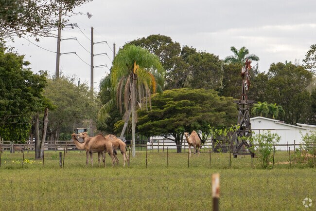 The Villages at Harmony Lake
