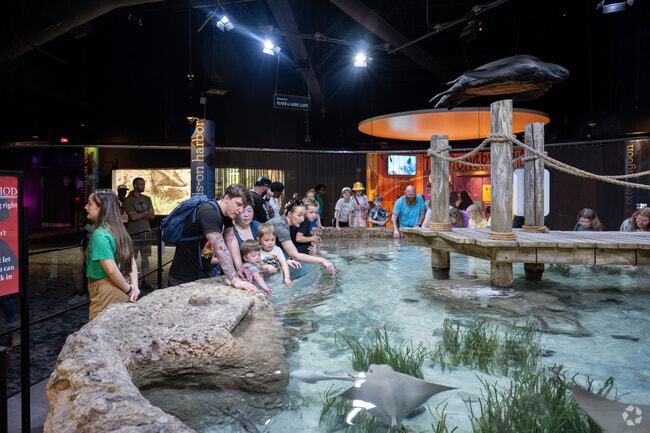 You can get up close and personal with animals at the Greensboro Science Center.