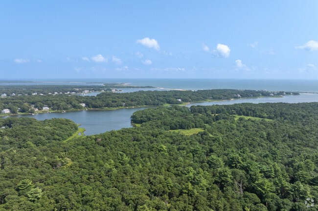 Wonder through the woods of Sea Farms Marsh Conservation Area in East Falmouth.