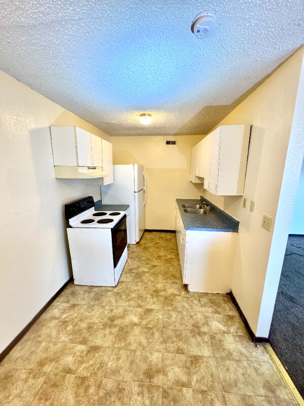 913 Joliet Dr unit 4, Sauget, IL 62206 - photo 2