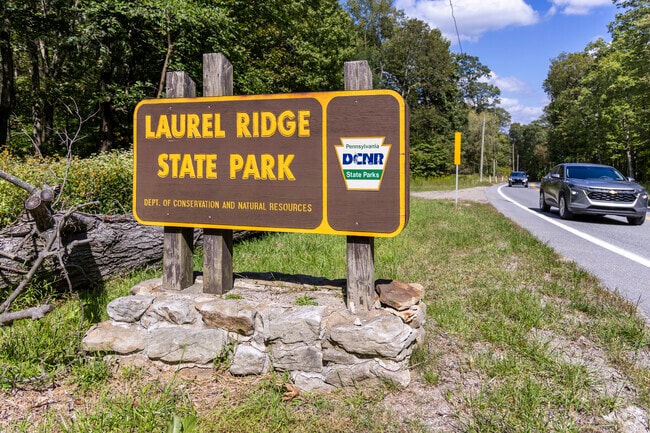 Laurel Ridge State Park near Upper Yoder spans 14,704 acres of natural beauty.