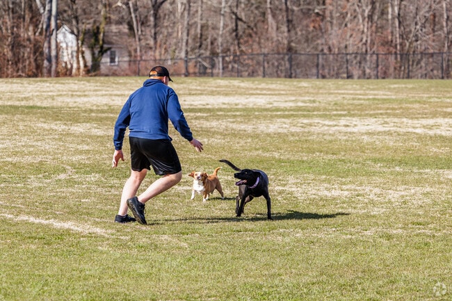 In Greater High Point, there are numerous parks where locals can play with their best friend.