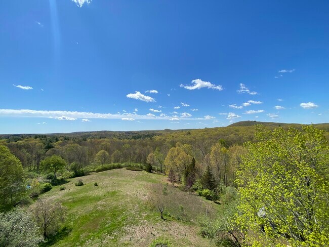 123 Looking Glass Hill Rd, Morris, CT 06763 - photo 6