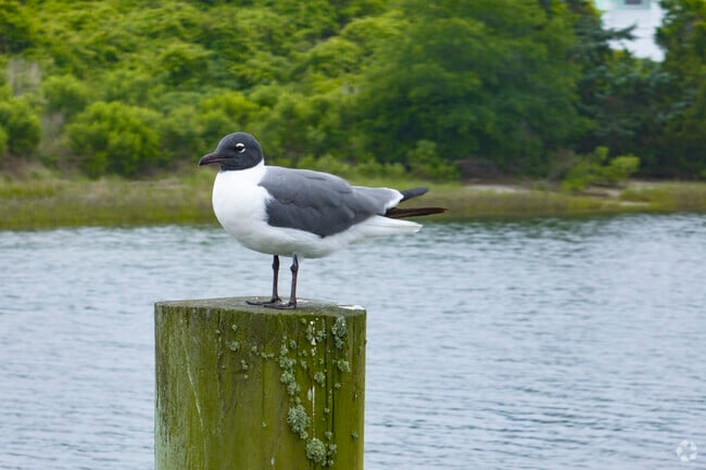 Locals enjoy a deep sense of connection to the natural surroundings and wildlife of Skippers Corner.
