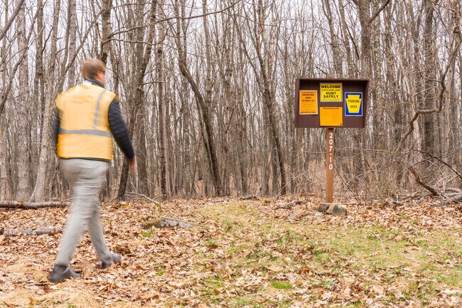 Hikers and hunters wear orange for safety at State Game Lands 207.