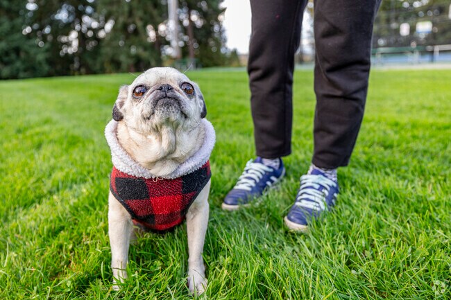 Fife Heights is home to a dog park and other pet-friendly amenities.