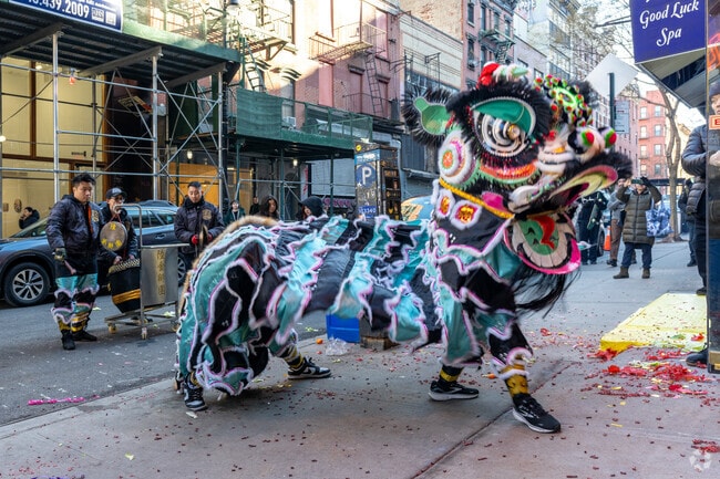 Start the Lunar New Year with a Chinese Dragon Dance in Two Bridges to bring good luck.