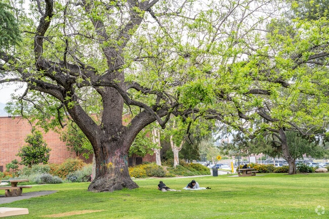 Victory Park features many perfect shade trees perfect for enjoying a book with friends.