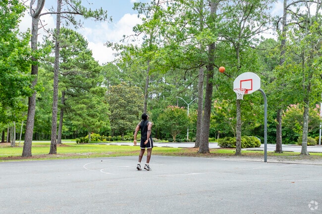 Northern Regional Park adds to the area’s appeal, offering residents a picturesque retreat just a stone’s throw from their doorsteps.