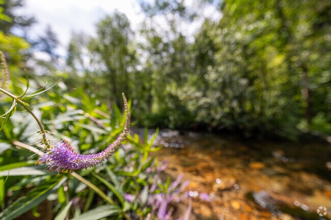 Discover seasonal blooms and rare plants at Tizer Botanic Gardens in Montana.