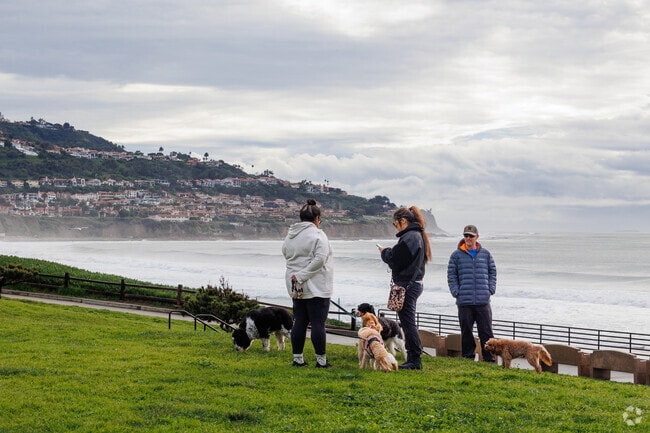 Seaside, CA residents walk their dogs at Torrance Beach.