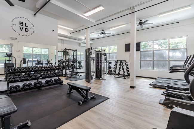 The Boulevard (SC), Mount Pleasant, SC 29464 - photo 3