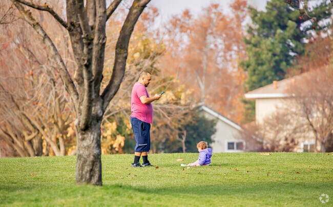 Veterans Park in the City of Brentwood sits within a quiet neighborhood.