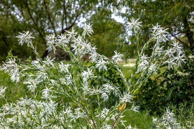 Whimsical snow blankets prairie fields along roads in Lucas.
