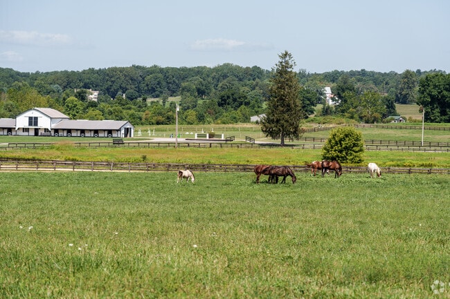 You don't have to wander far from Jacksonville's center to find a lush, pastural setting.