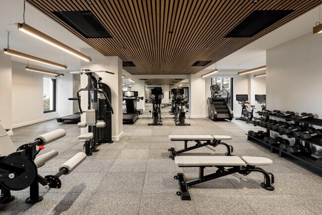 Maven, Bronx, NY 10451 - photo 7