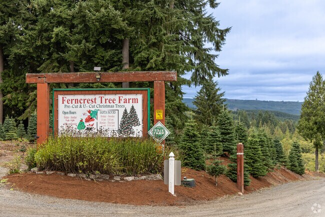Ferncrest Christmas Tree Farm is a popular attraction in Coal Creek.