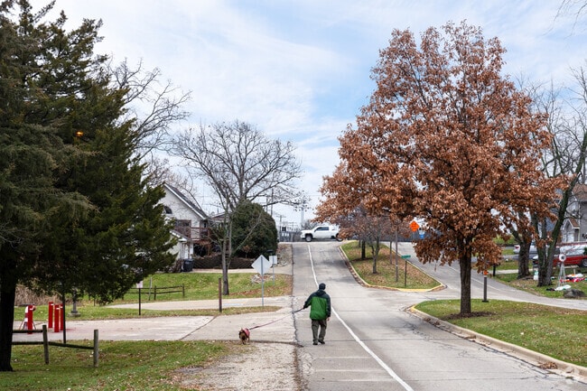 A resident takes his dog for a walk in Paddock Lake.