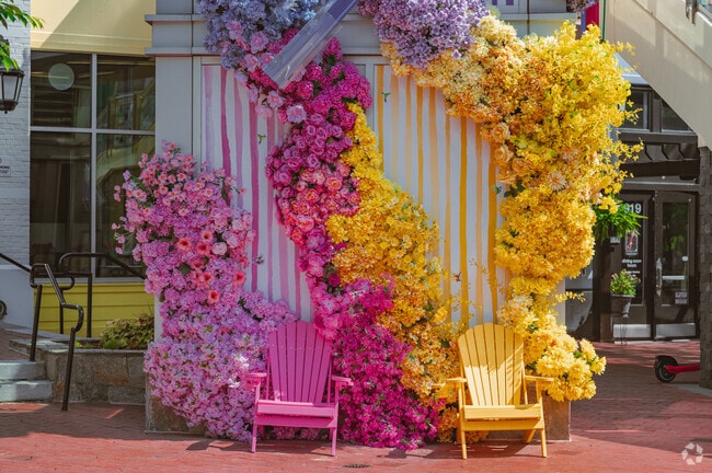 Take a rest on these yellow and pink chairs at Fountain Plaza in Downtown Silver Spring.